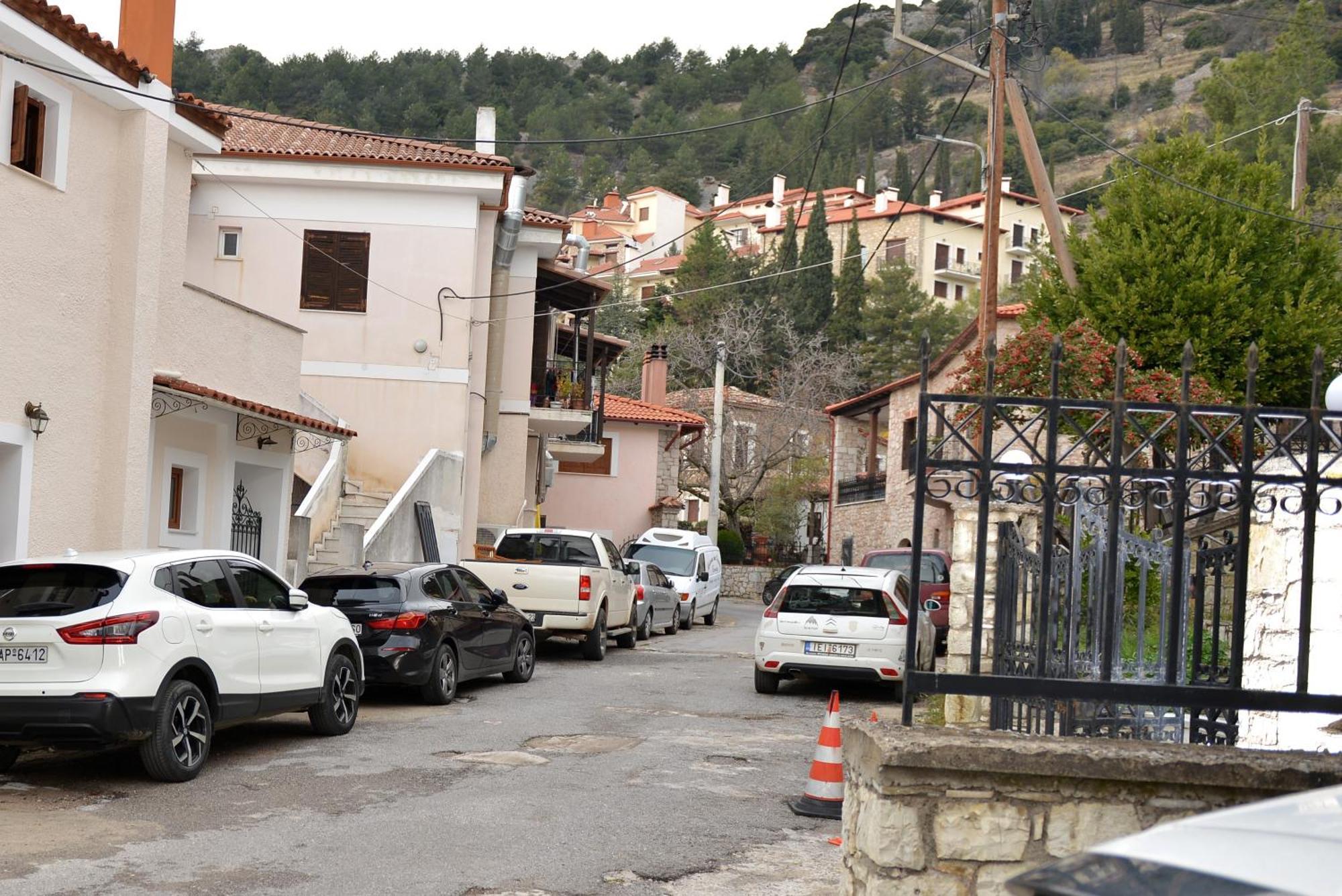 Alkinoe Suite Arachova Exterior photo